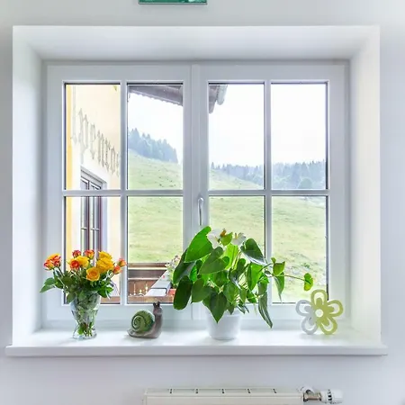 Almhaus Alpenrose Postalm Lodge *